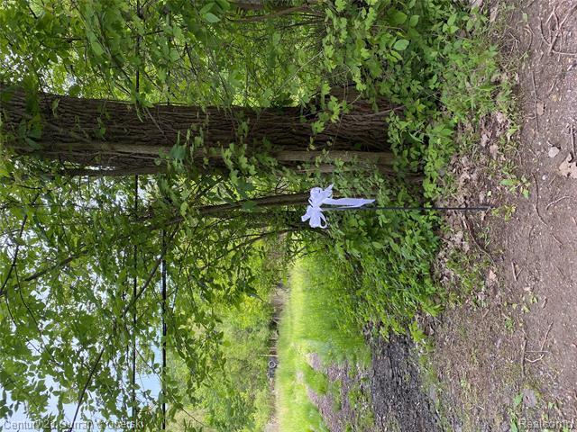 Property Photo:  00000 Lotzford Road  MI 48187 