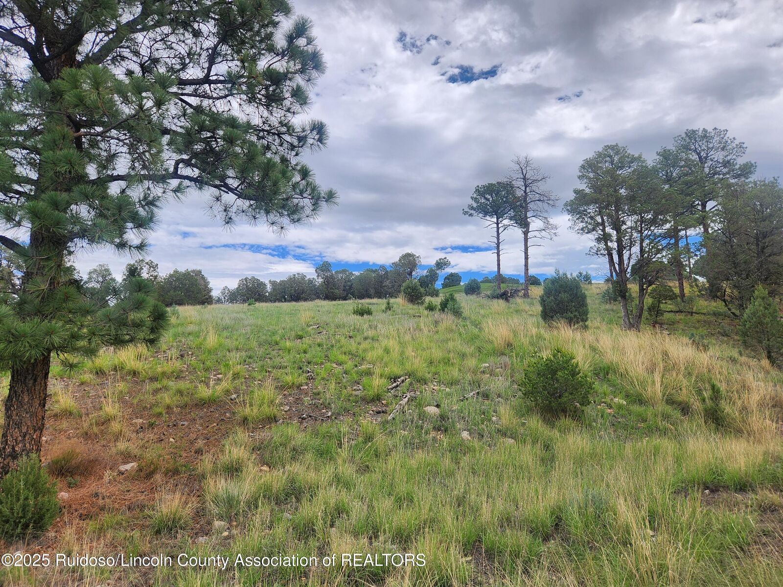 Property Photo:  Lot 5 Spencer Road  NM 88312 