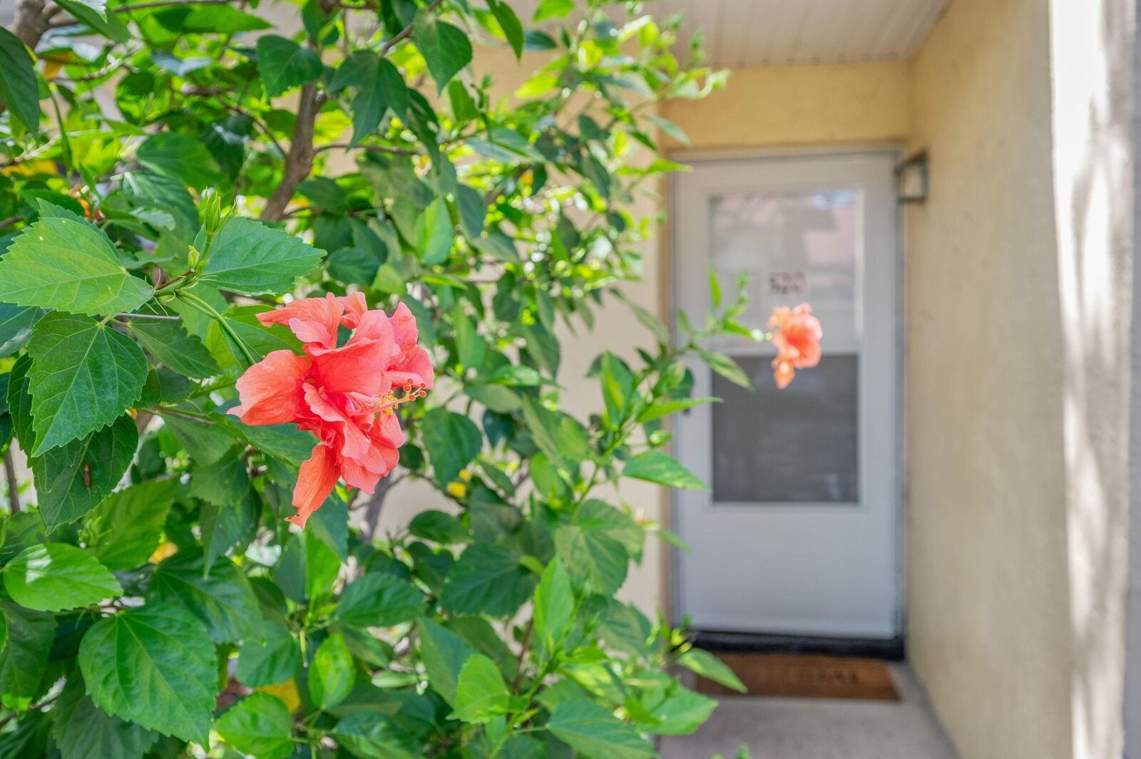 Property Photo:  3960 A1a S #520  FL 32080