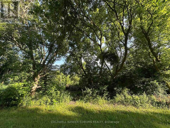 Photo de la propriété: 000 Pittston Road ON K0E 1X0