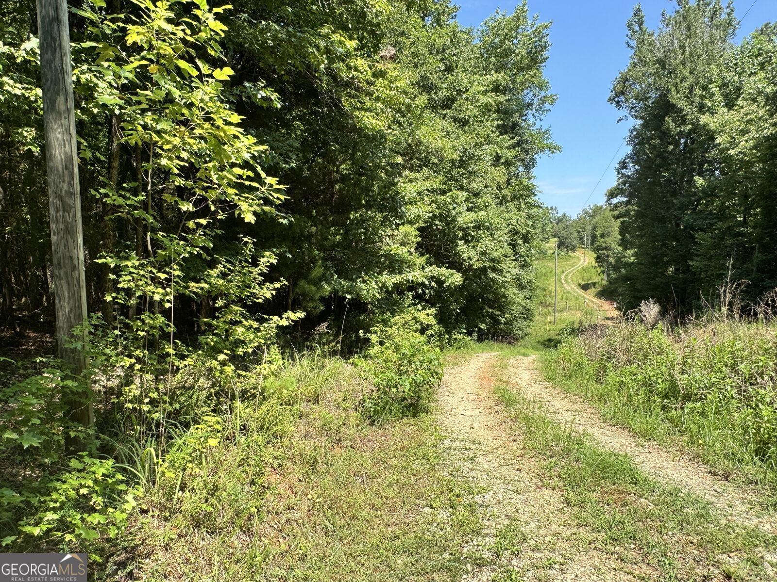 Property Photo: 0 Hwy 29 N GA 30633