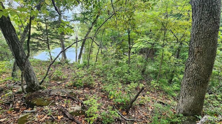 Property Photo:  1848 Prince John Ct  MO 63357 