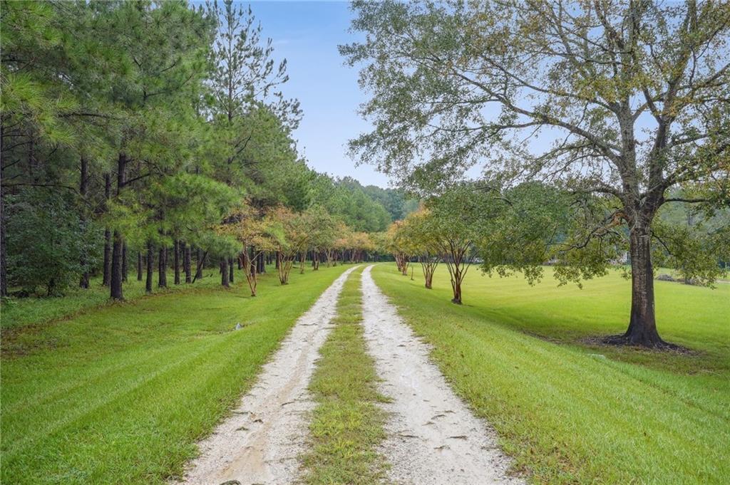 Property Photo: 85312 Highway 437 Highway LA 70435