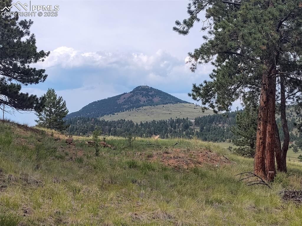 Property Photo:  220 Reed Circle  CO 80816 