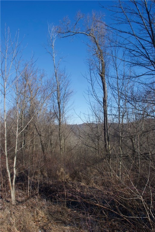 Property Photo:  0 Audubon Road  PA 15143 