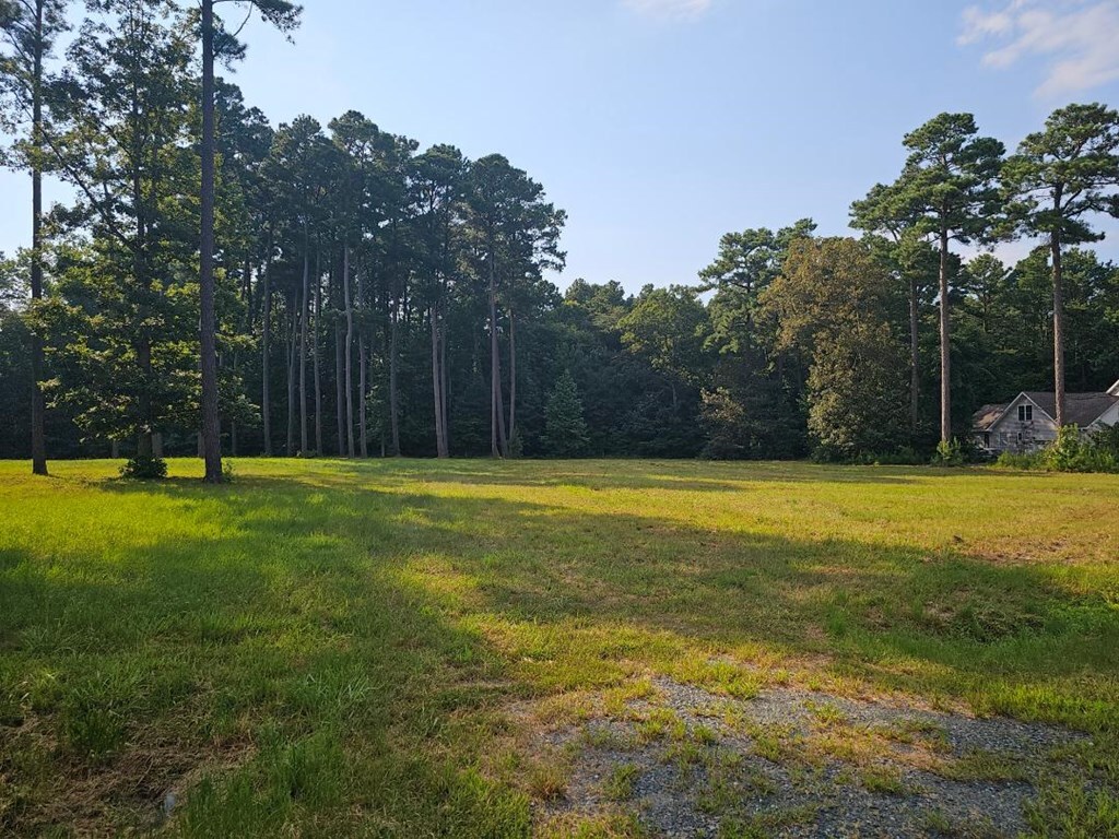 Property Photo: Lot 4 Ashbrooke Drive VA 23418