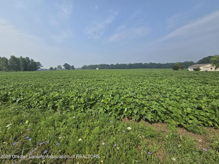 Property Photo: 2 Frost Rd MI 48875