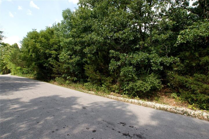 9522 E Vista Drive  Hillsboro MO 63050 photo