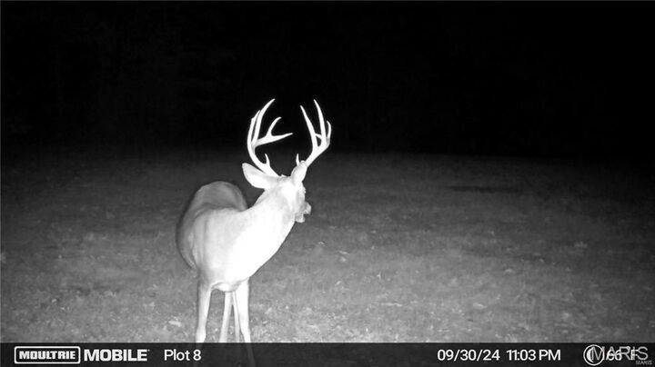 Property Photo:  0 Tract 2 (160+/- Acres) Lodge Road  MO 65441 