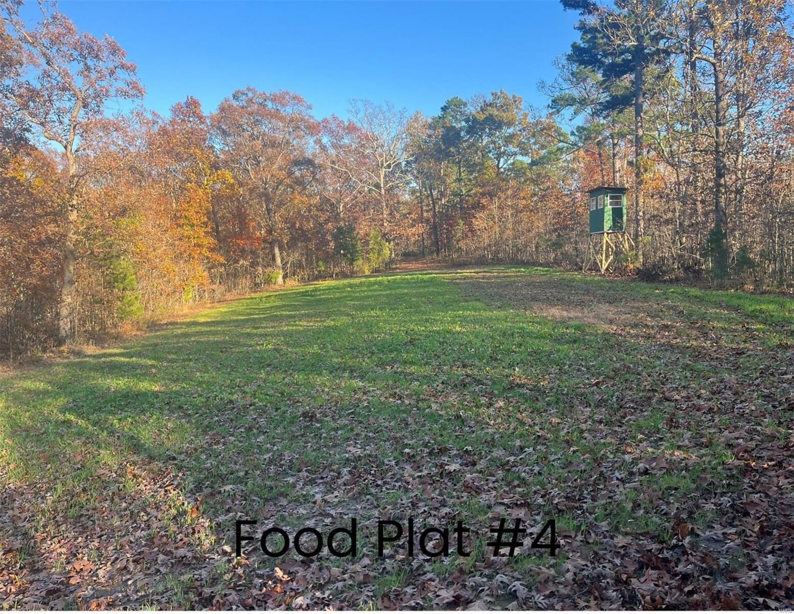 Property Photo:  0 (320+/- Acres) Lodge Road  MO 65441 