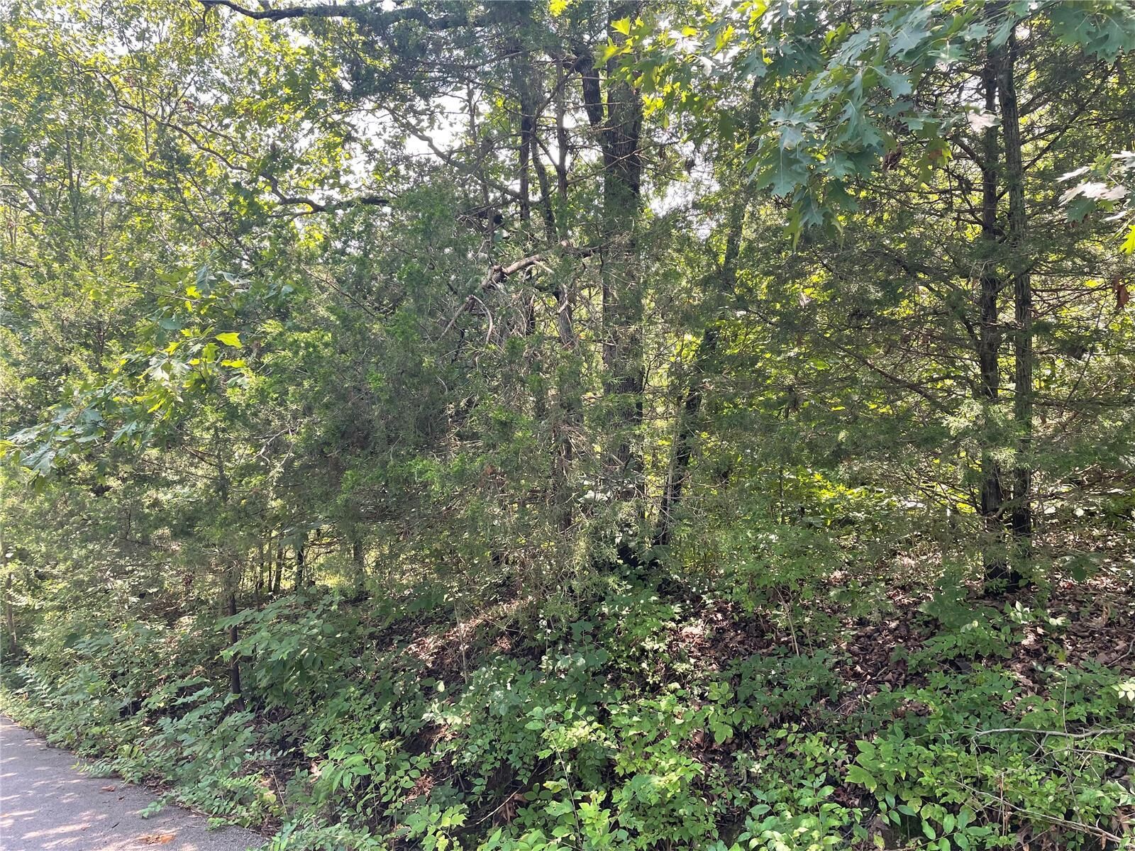 Property Photo: 0 Marathon Dr MO 63020