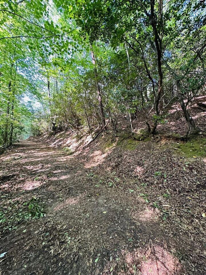 Property Photo: 13.25ac Pounding Mill Rd NC 28904