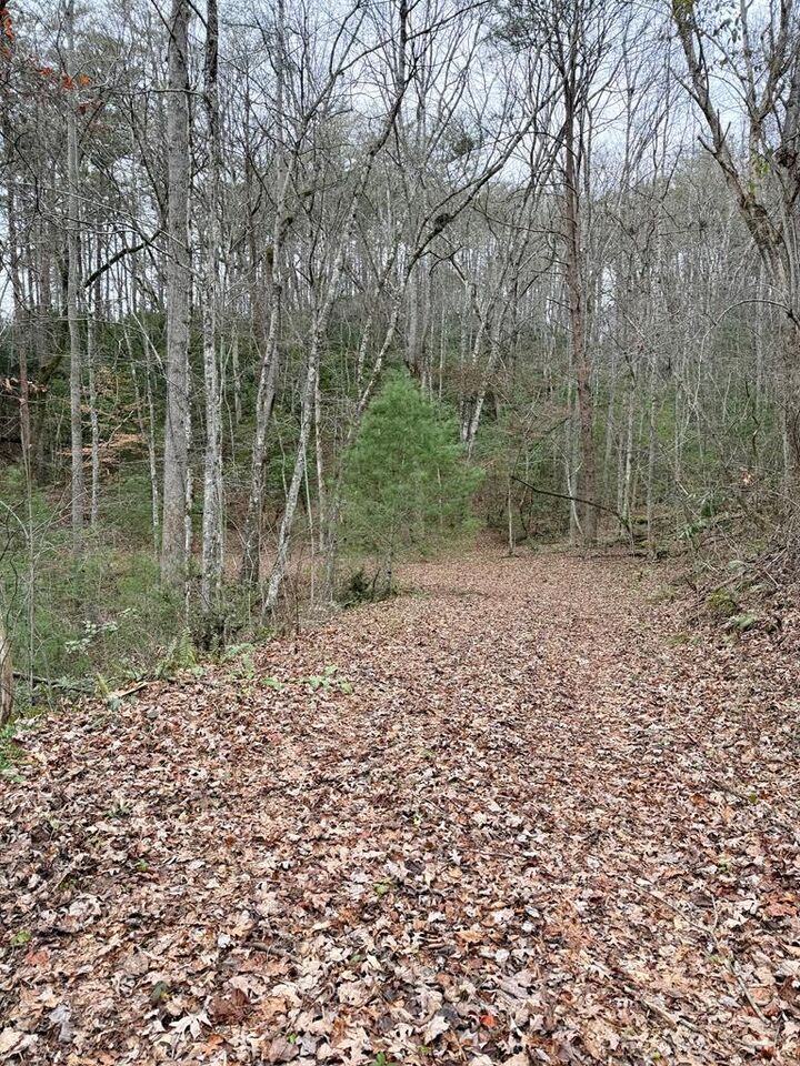 Property Photo: 13.25ac Pounding Mill Rd NC 28904