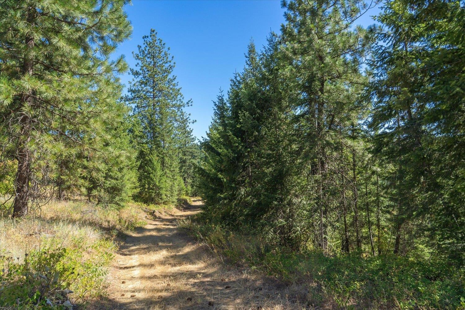 Property Photo: 21620 E Lakeview Rd WA 99027