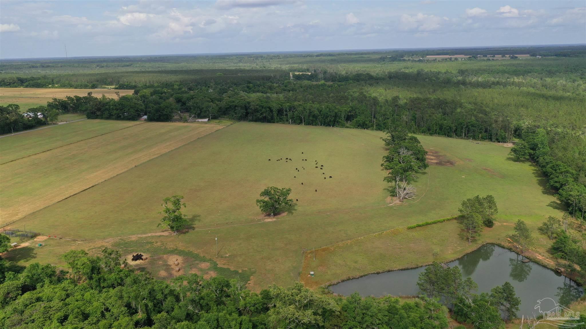 Property Photo:  Lot 4 Hall Rd  FL 32565 