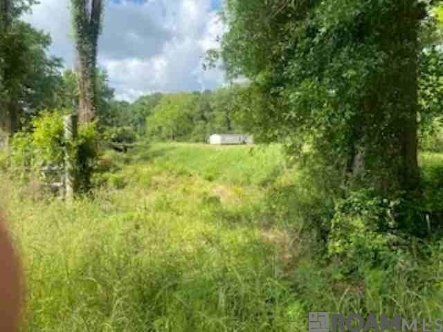 Property Photo:  19692 Pride-Baywood Rd  LA 70770 