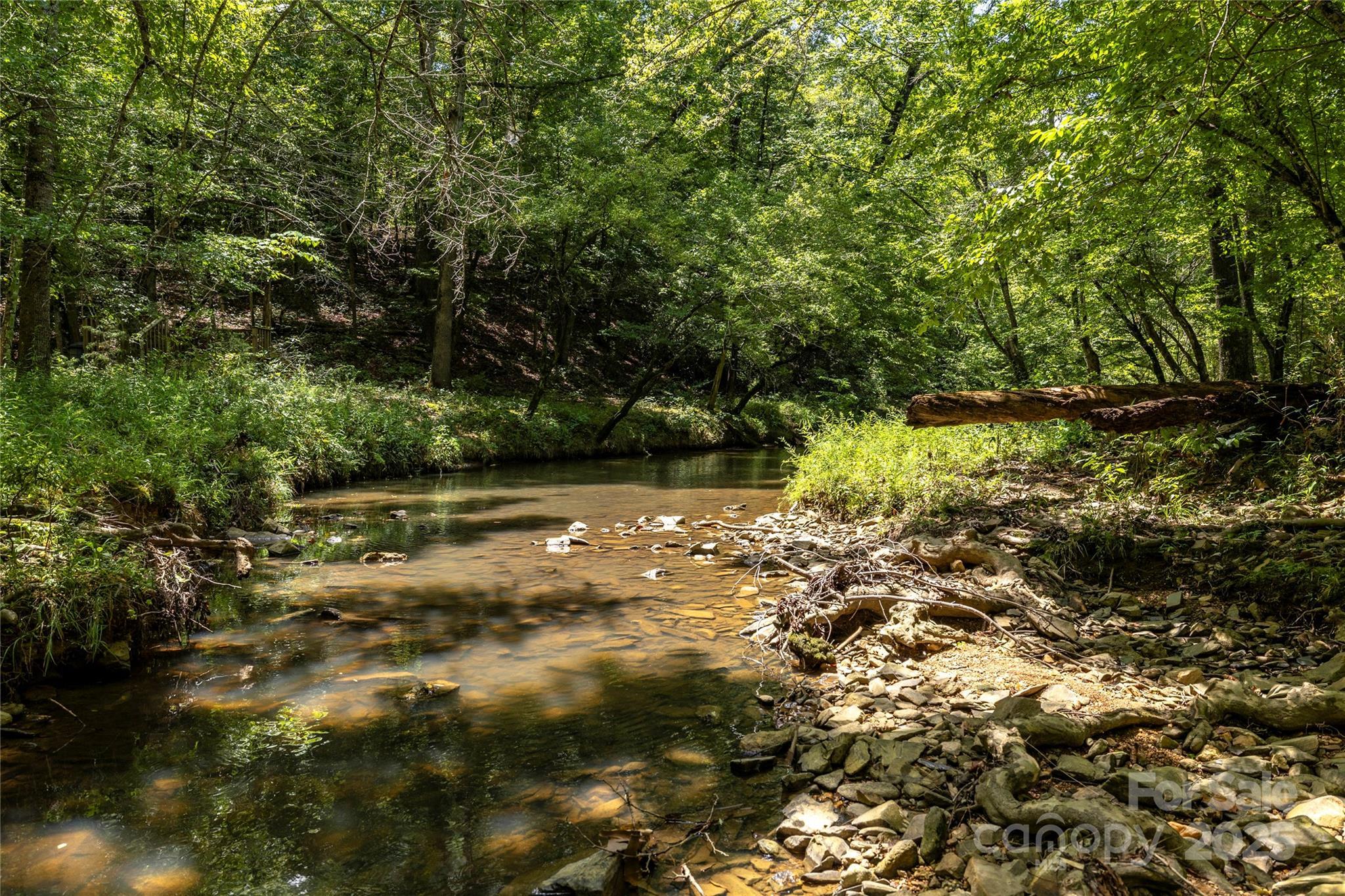 Property Photo: 0 Pageland Highway SC 29720
