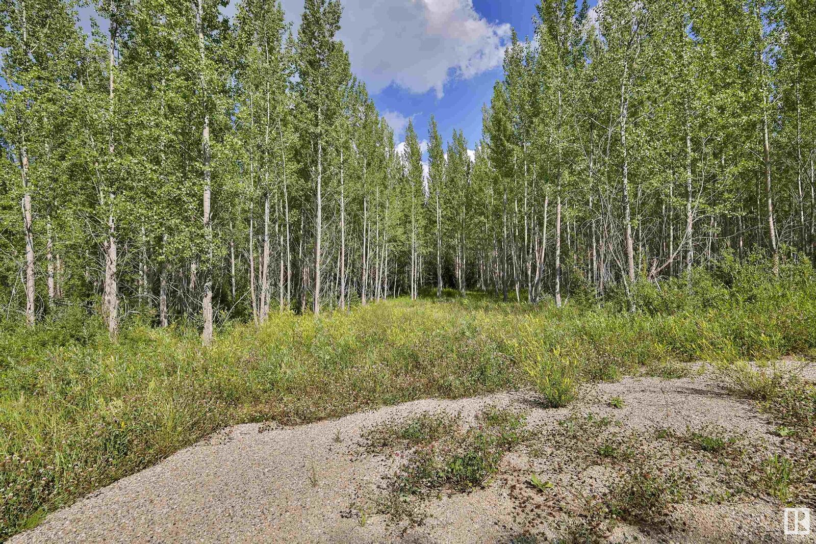 Property Photo: Rge Rd 24 Twp Rd 562 AB T0E 1A0