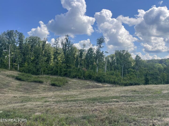 Property Photo:  Lot 16 Laura Boling Loop Rd  TN 37871 