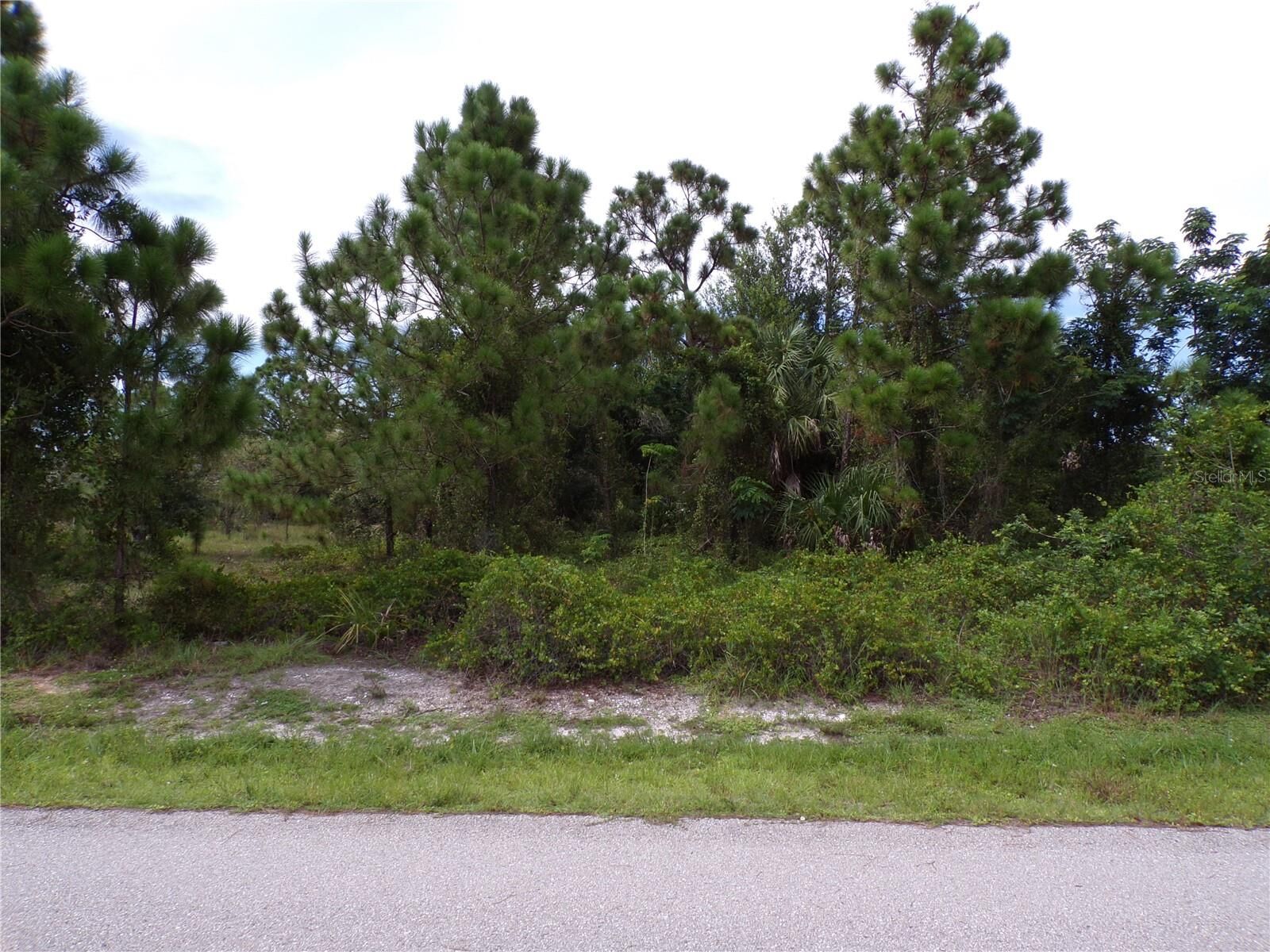 Property Photo:  27058 Saffron Drive  FL 33955 