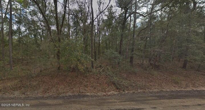 Property Photo: 0 Pilchard Road FL 32140