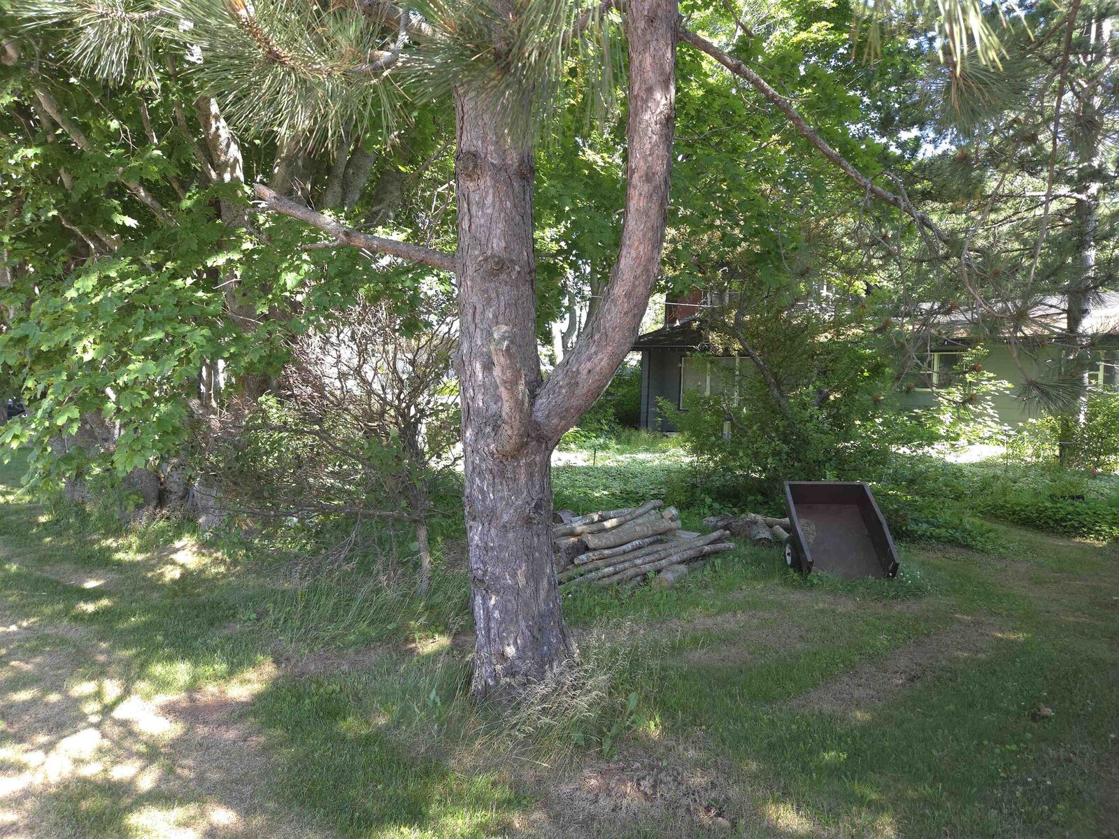Property Photo:  1 Glenn Drive  PE C1N 4M3 