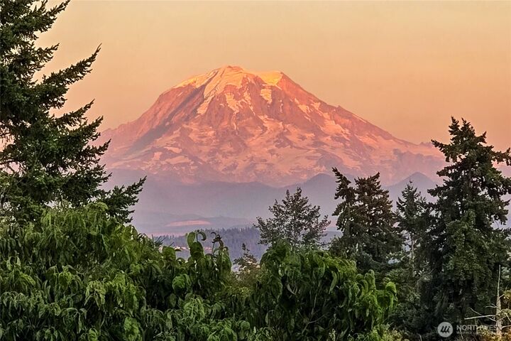 10910  48th Street Ct E  Edgewood WA 98372 photo