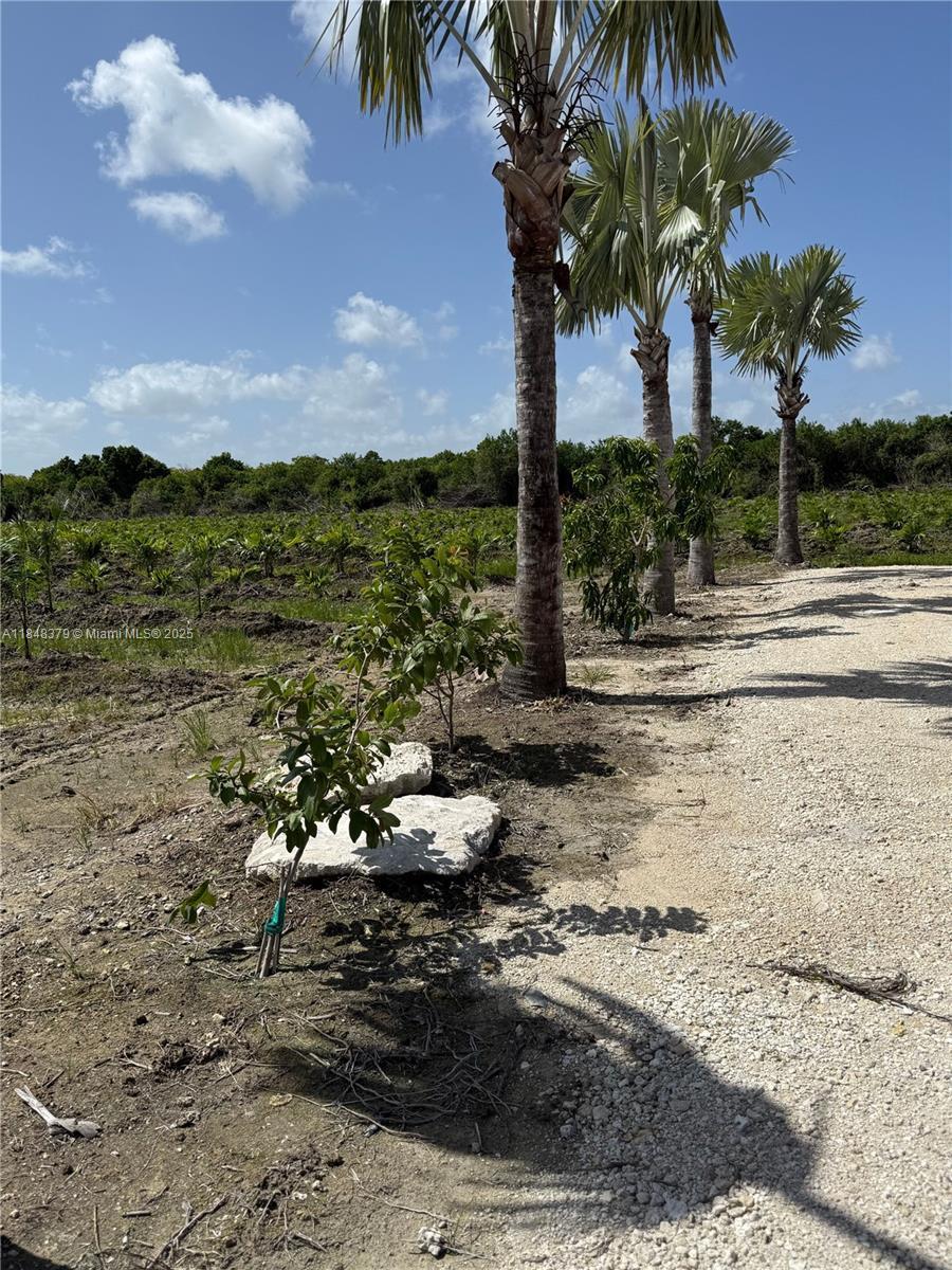 Property Photo: SW 287 FL 33033