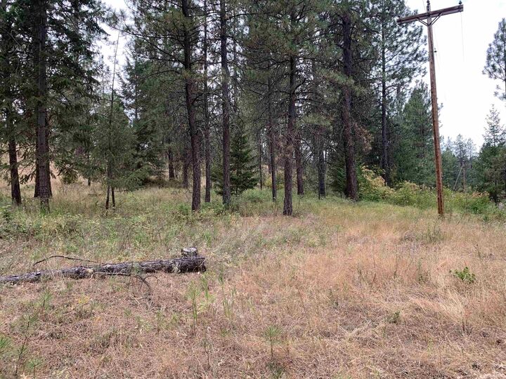 Property Photo: 160xx N Austin Rd WA 99208