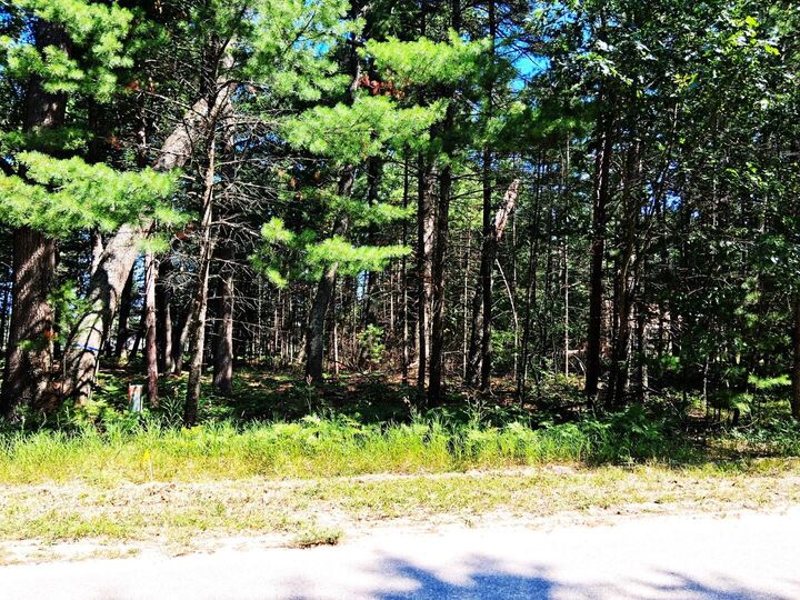 Property Photo: Lot 21 W Nestel Road MI 48651