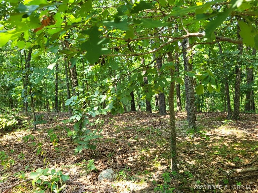 Property Photo: Lee Drive 2020 MO 65326