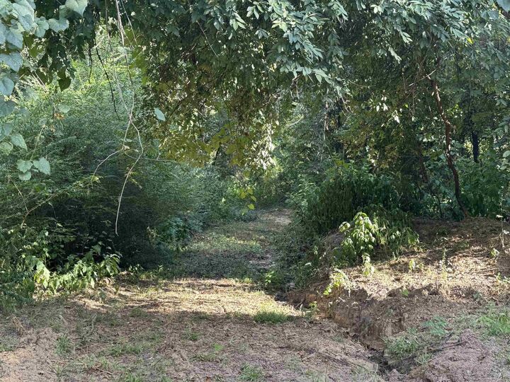 Property Photo:  000 Leftwich Lane  AR 72927 