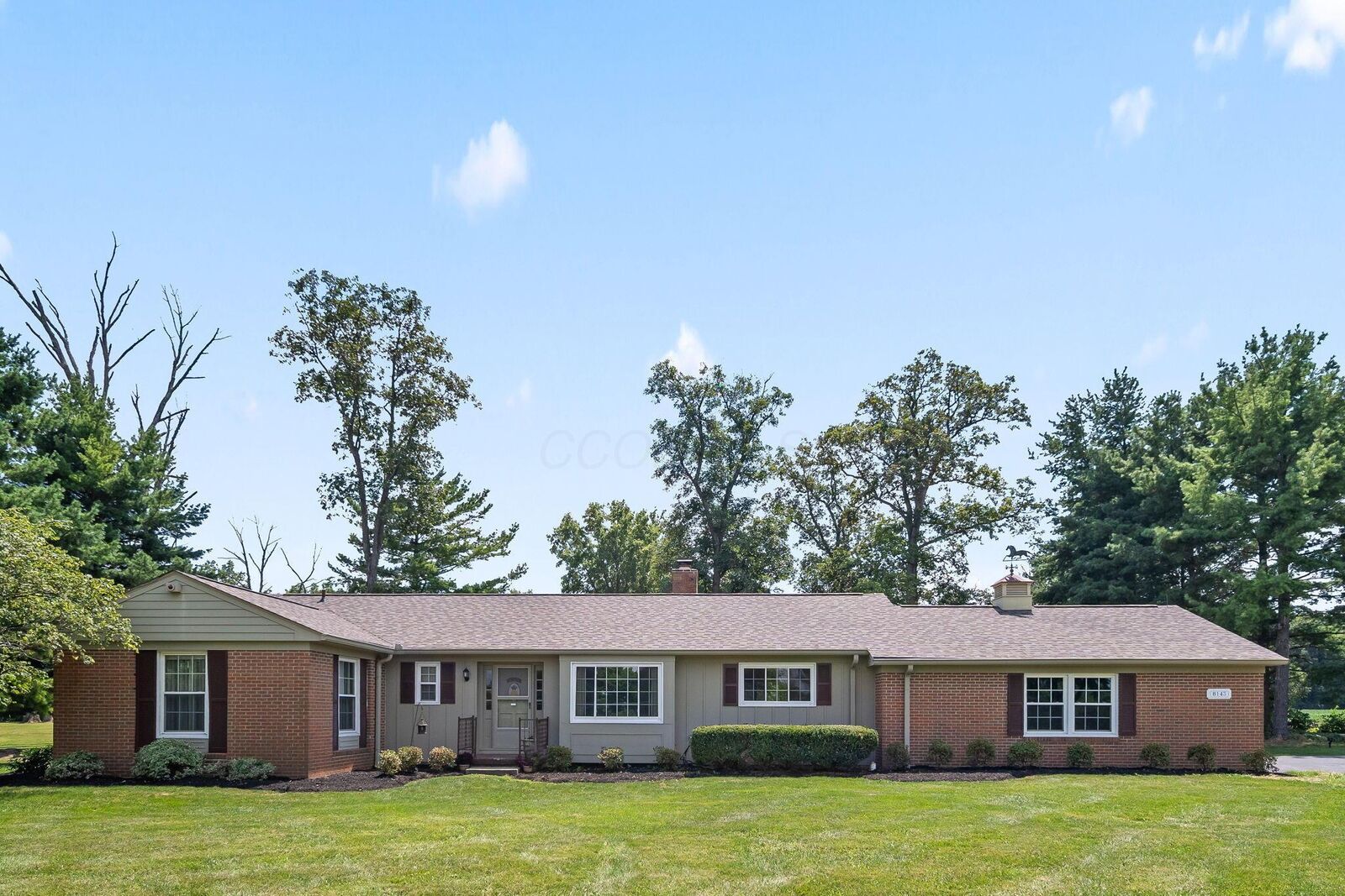 Property Photo:  8143 Snyder Road  OH 43146 