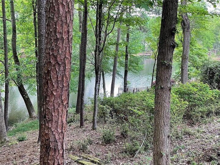 Property Photo: 160 Boxelder Lane GA 30076
