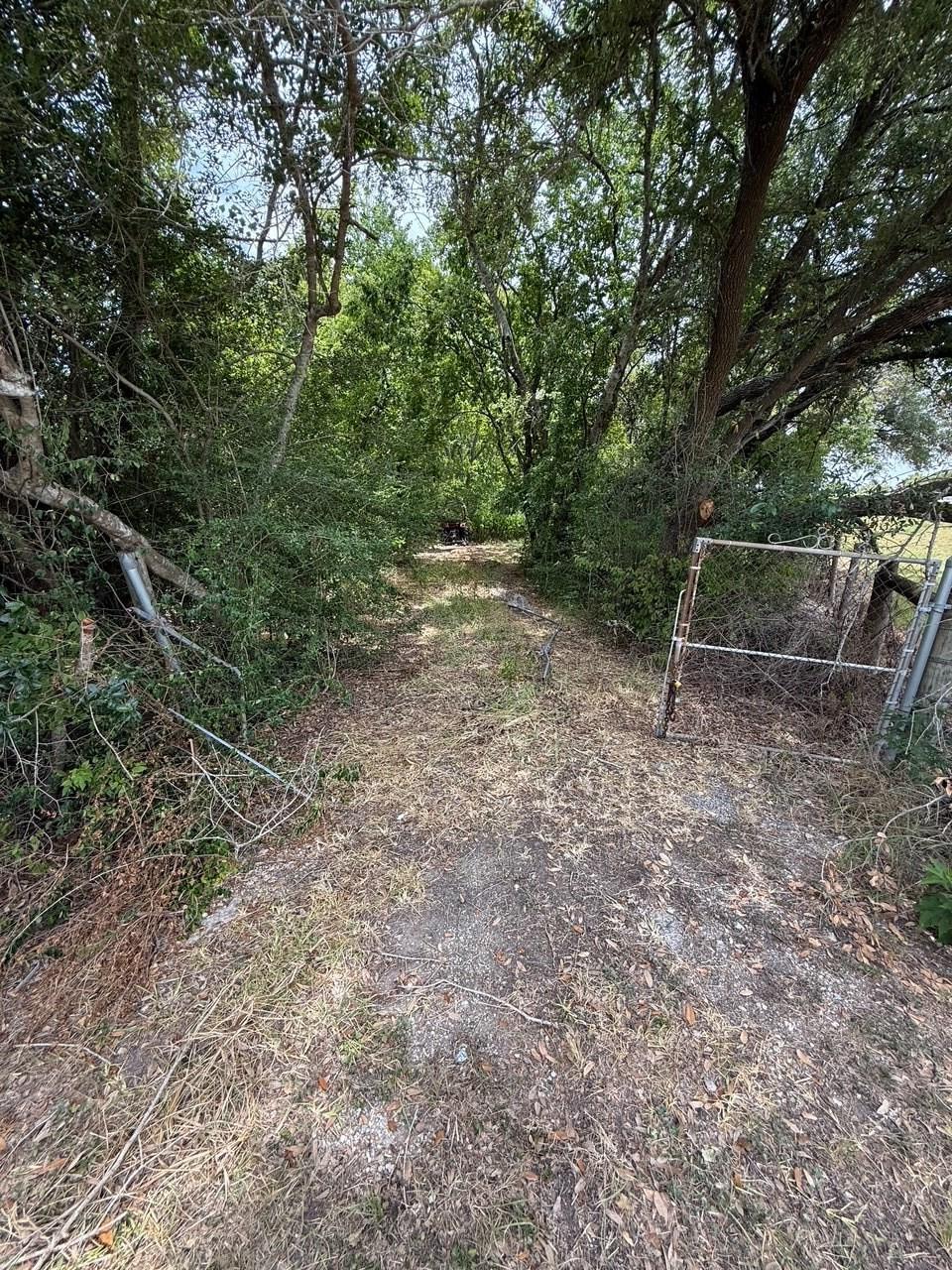 Property Photo:  0 Lake Road  TX 77568 