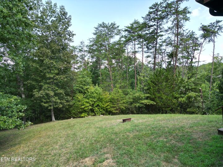 Property Photo: 2431 McQueen Way TN 37876