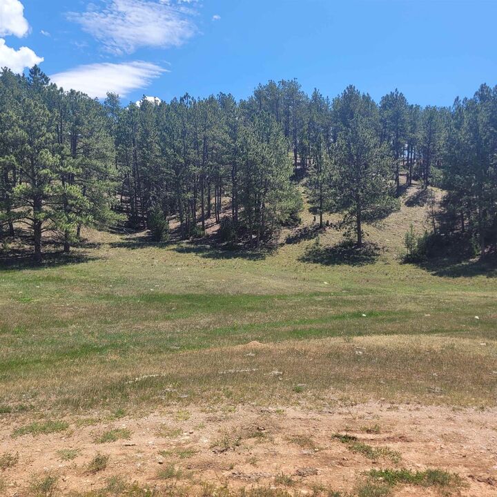 Property Photo: 10251 Valley Road SD 57730
