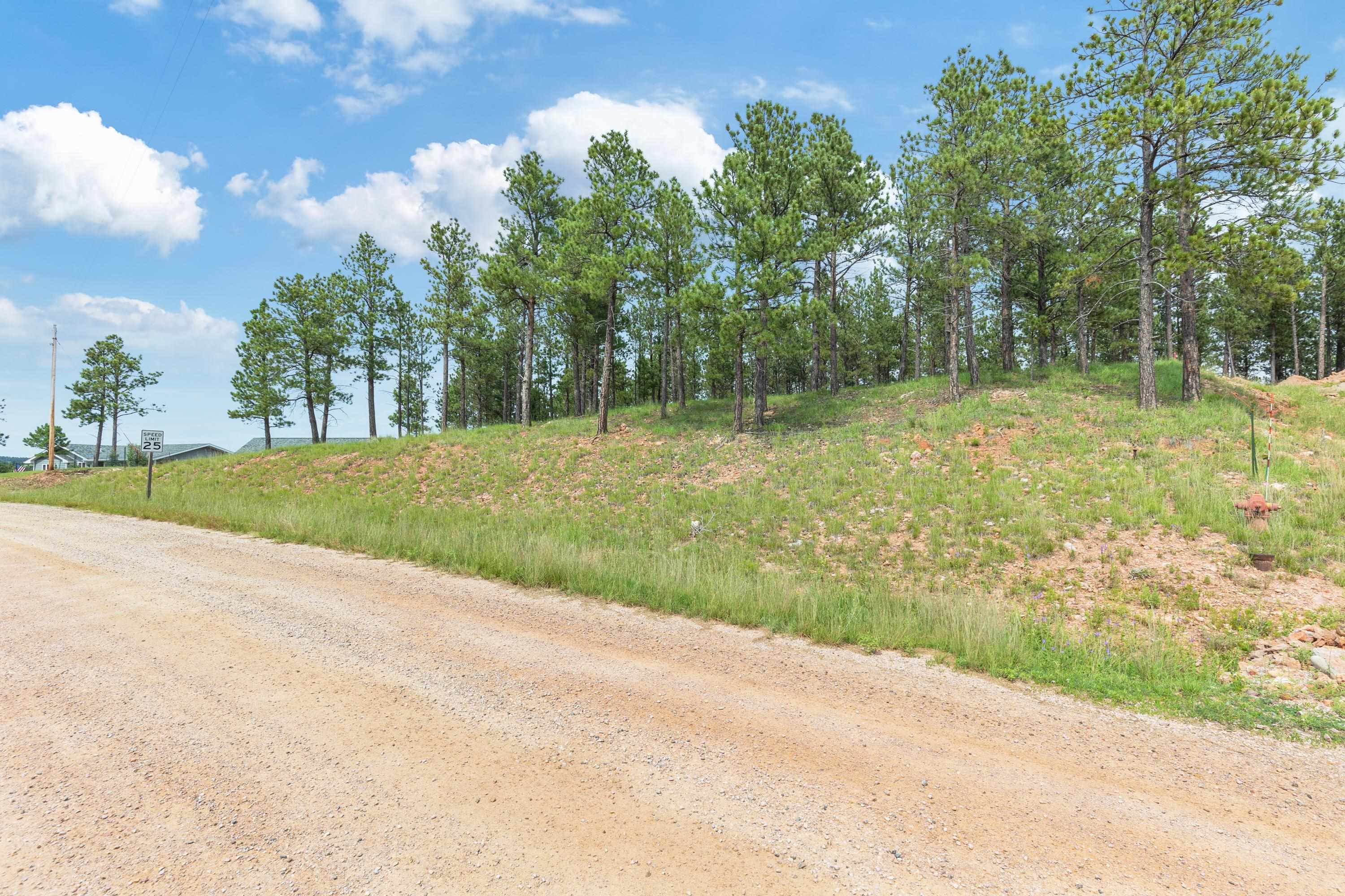 Property Photo:  Tbd Borglum Road  SD 57751 