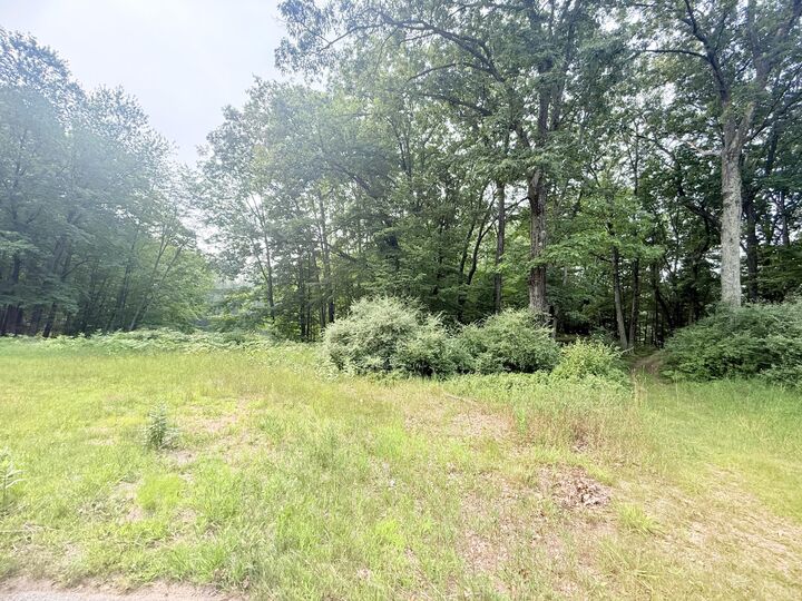 Property Photo:  9137 Briarstone Drive  MI 49346 