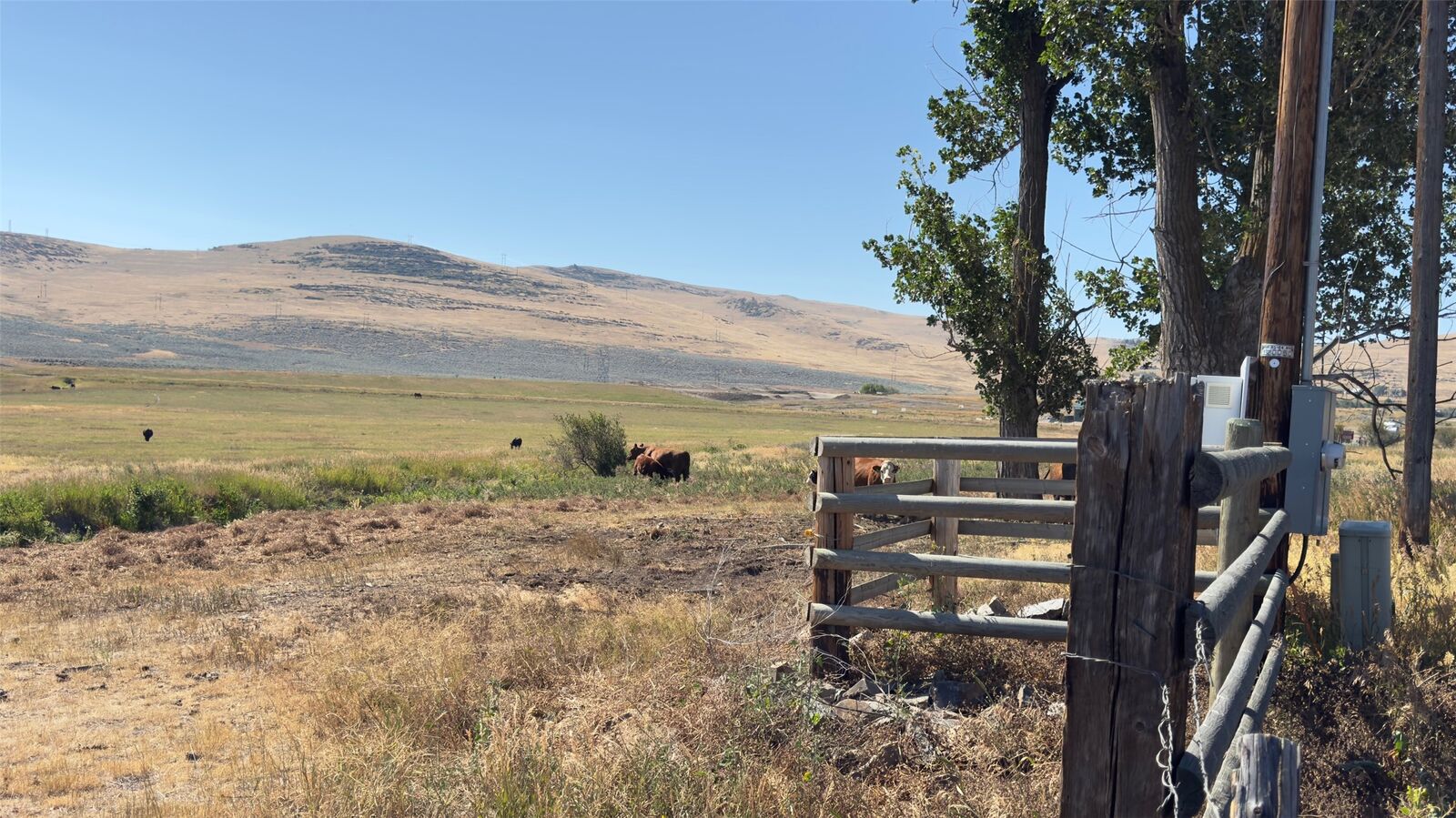 Property Photo:  Nhn Mt Highway 28  MT 59845 