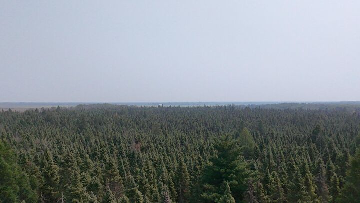 Property Photo:  Tbd 120 Acres Sunflower Road NE  MN 56650 