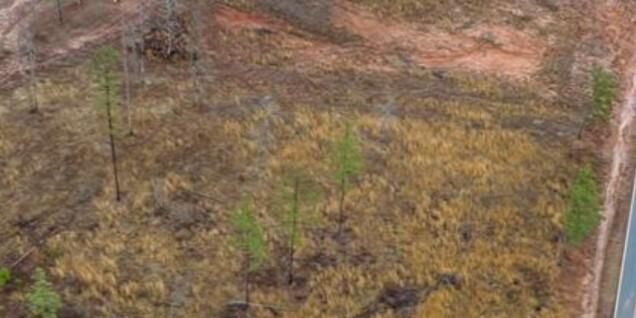 Property Photo:  150 Fire Tower Road  LA 71064 