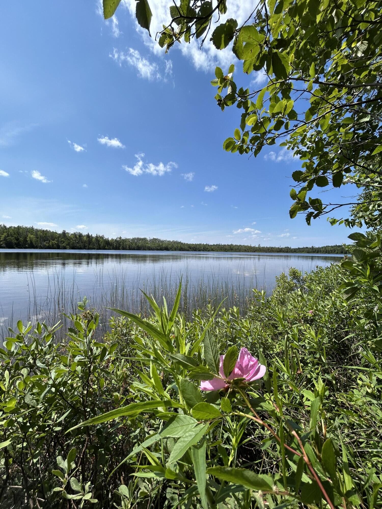 Property Photo: 9840 Ocqueoc Lake Road MI 49759