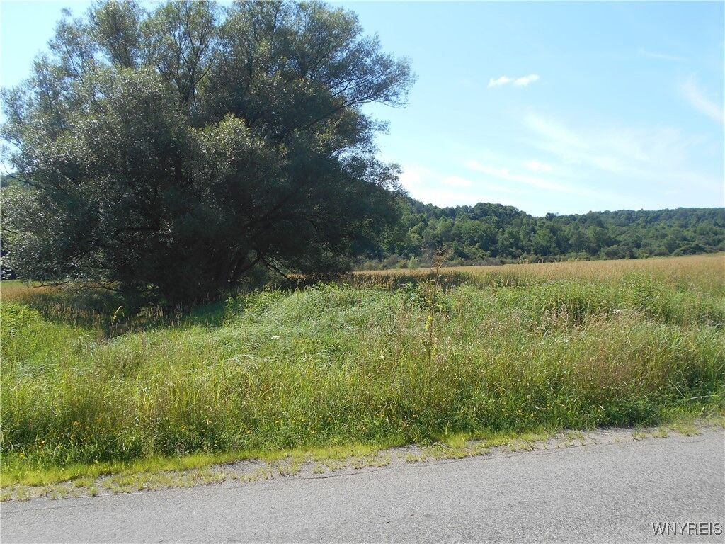 Property Photo: 7325 John Dallas Road NY 14737