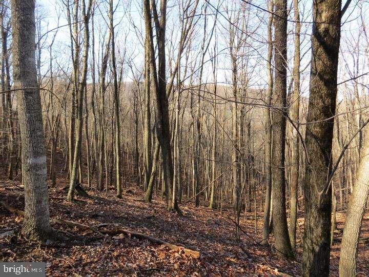 Property Photo: 12 & 14A Cedcarwood WV 26812