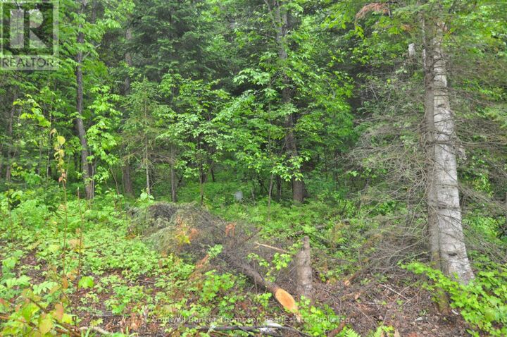 Property Photo:  2818 Highway 60 Highway  ON P0A 1H0 