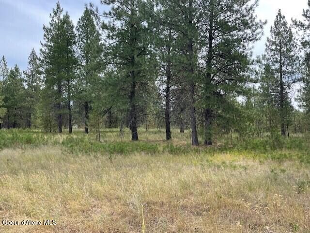 Lot 4 Sheep Springs Rd  Athol ID 83801 photo