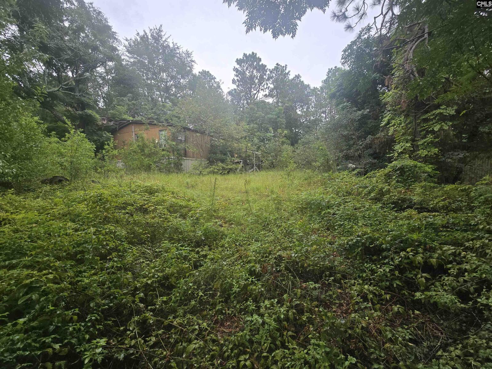 Property Photo: 807A Laurel SC 29073