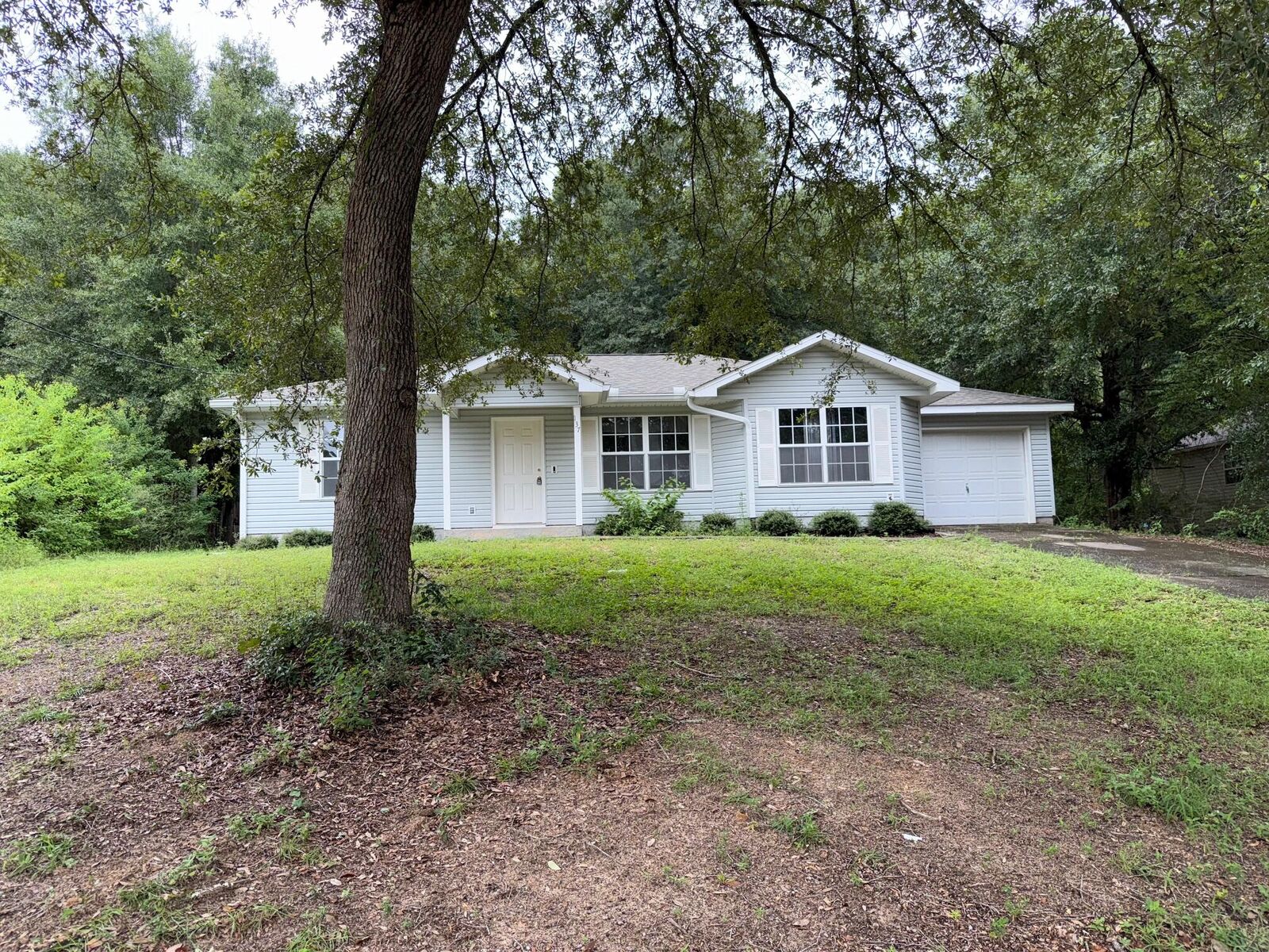 Property Photo: 137 Lonnie Jack Drive FL 32536