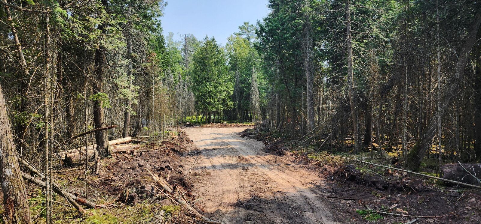 Property Photo:  1 N Shiawasee Trl  MI 49745 